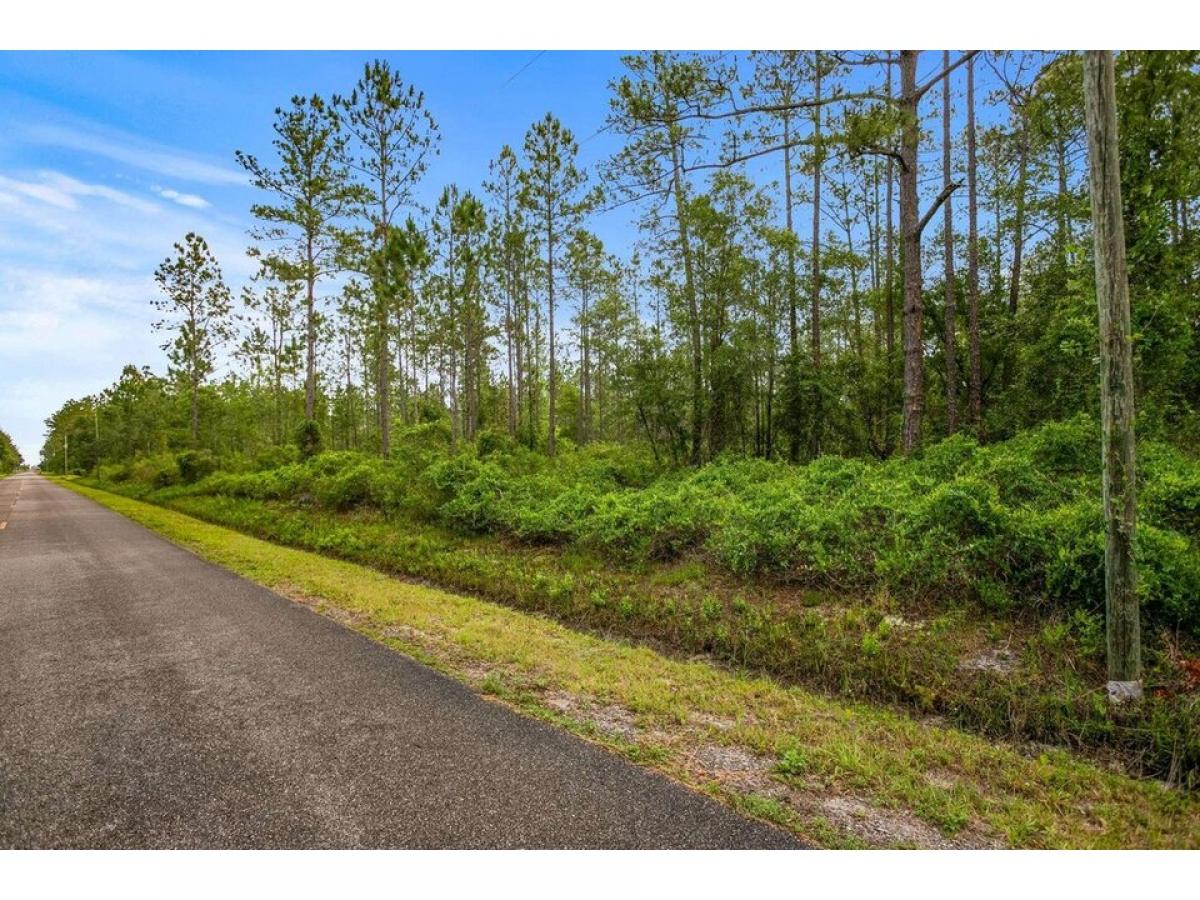 Picture of Residential Land For Sale in Hastings, Florida, United States