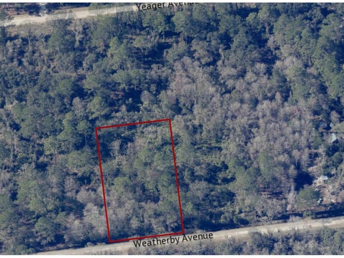 Picture of Residential Land For Sale in Hastings, Florida, United States