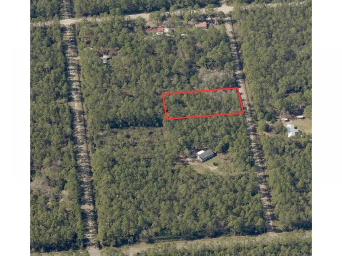 Picture of Residential Land For Sale in Hastings, Florida, United States