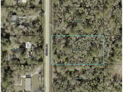 Residential Land For Sale in Hastings, Florida