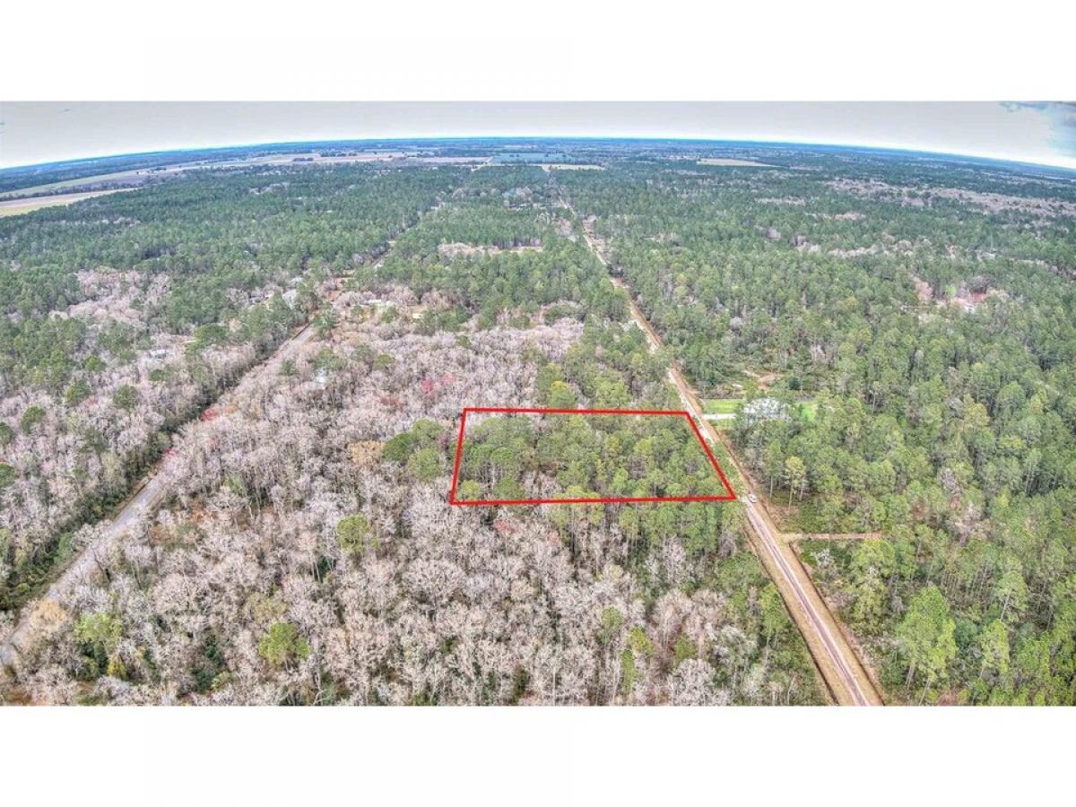 Picture of Residential Land For Sale in Hastings, Florida, United States