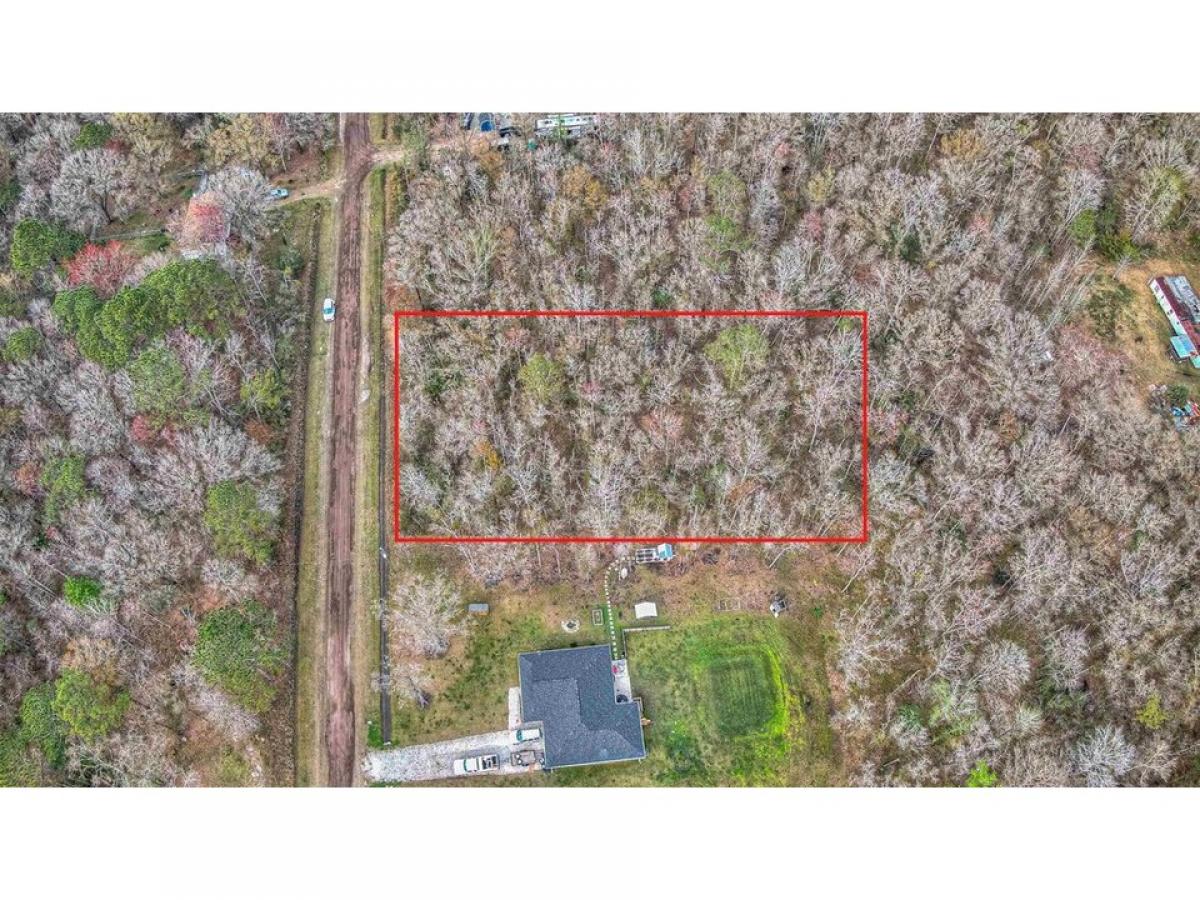 Picture of Residential Land For Sale in Hastings, Florida, United States