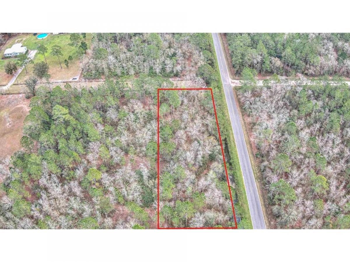 Picture of Residential Land For Sale in Hastings, Florida, United States