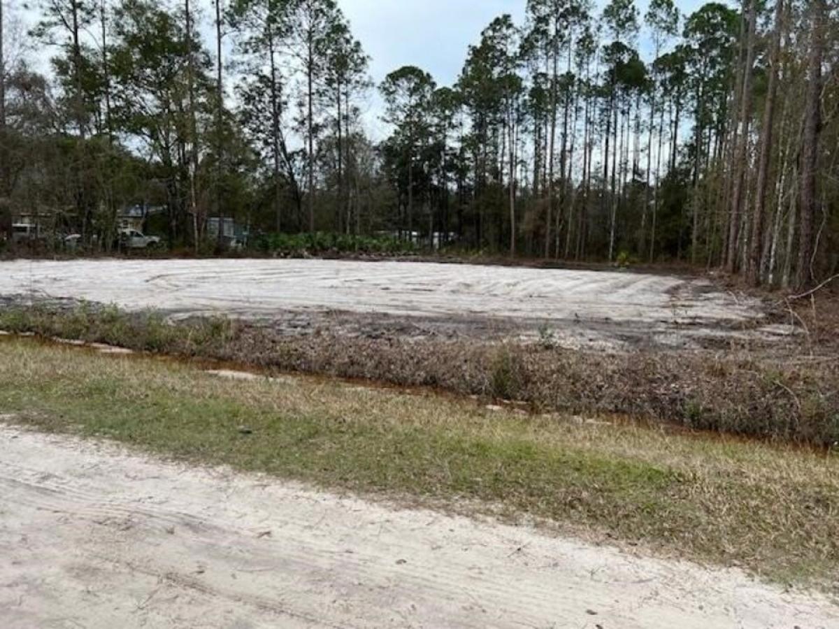 Picture of Residential Land For Sale in Hastings, Florida, United States