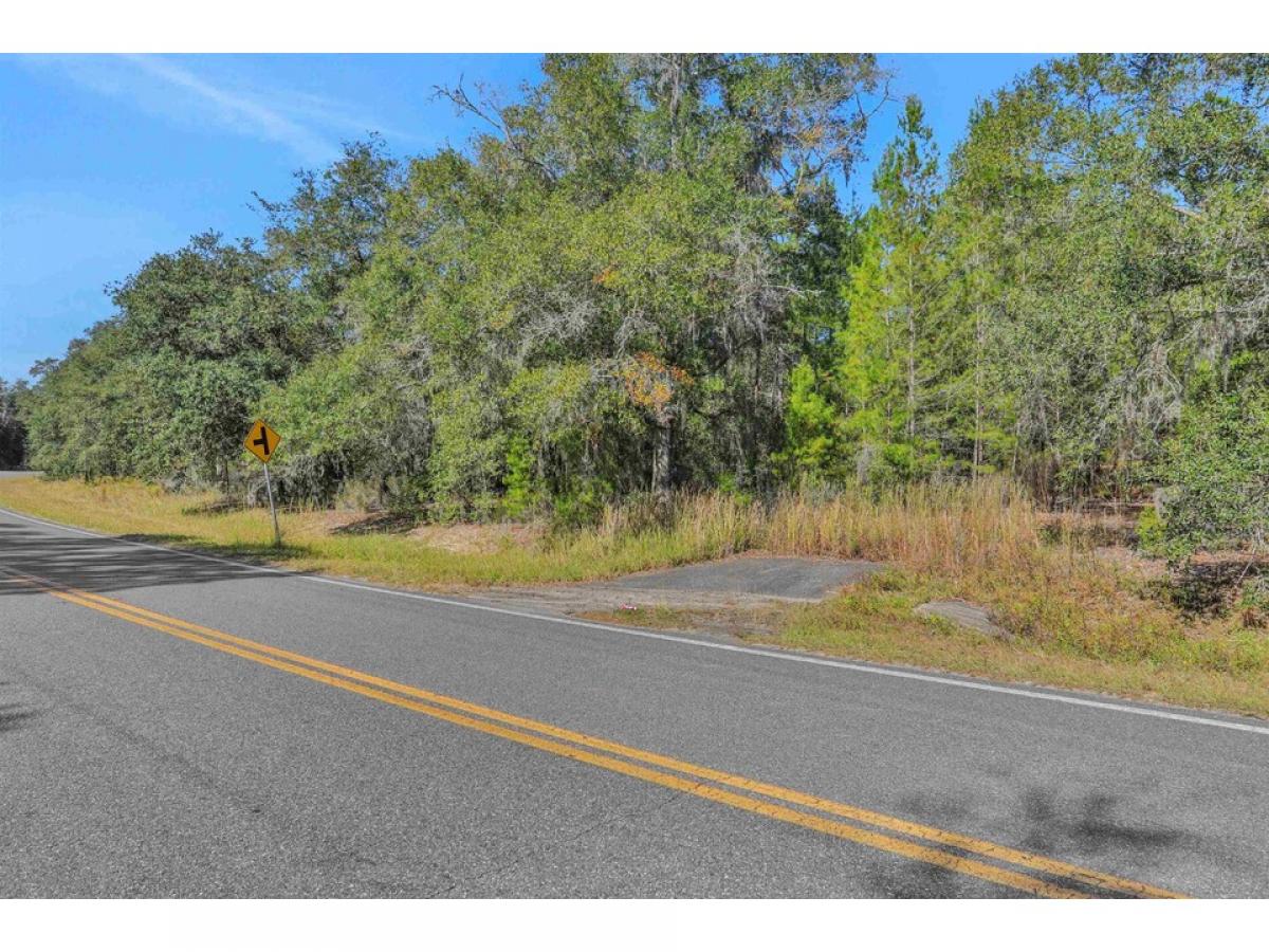 Picture of Residential Land For Sale in Hawthorne, Florida, United States