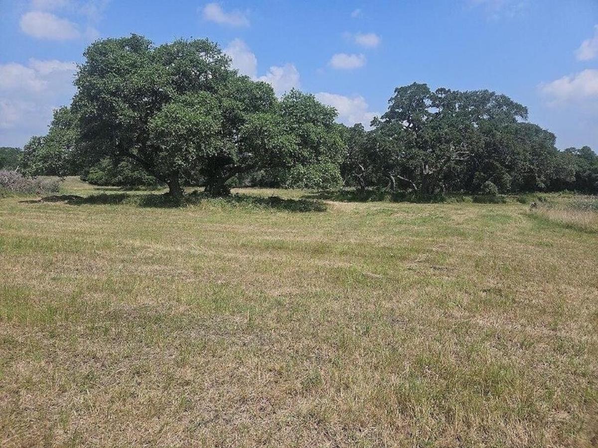 Picture of Residential Land For Sale in Schulenburg, Texas, United States