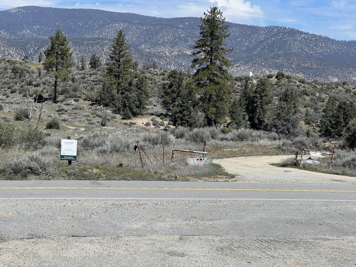 Picture of Residential Land For Sale in Pine Mountain Club, California, United States