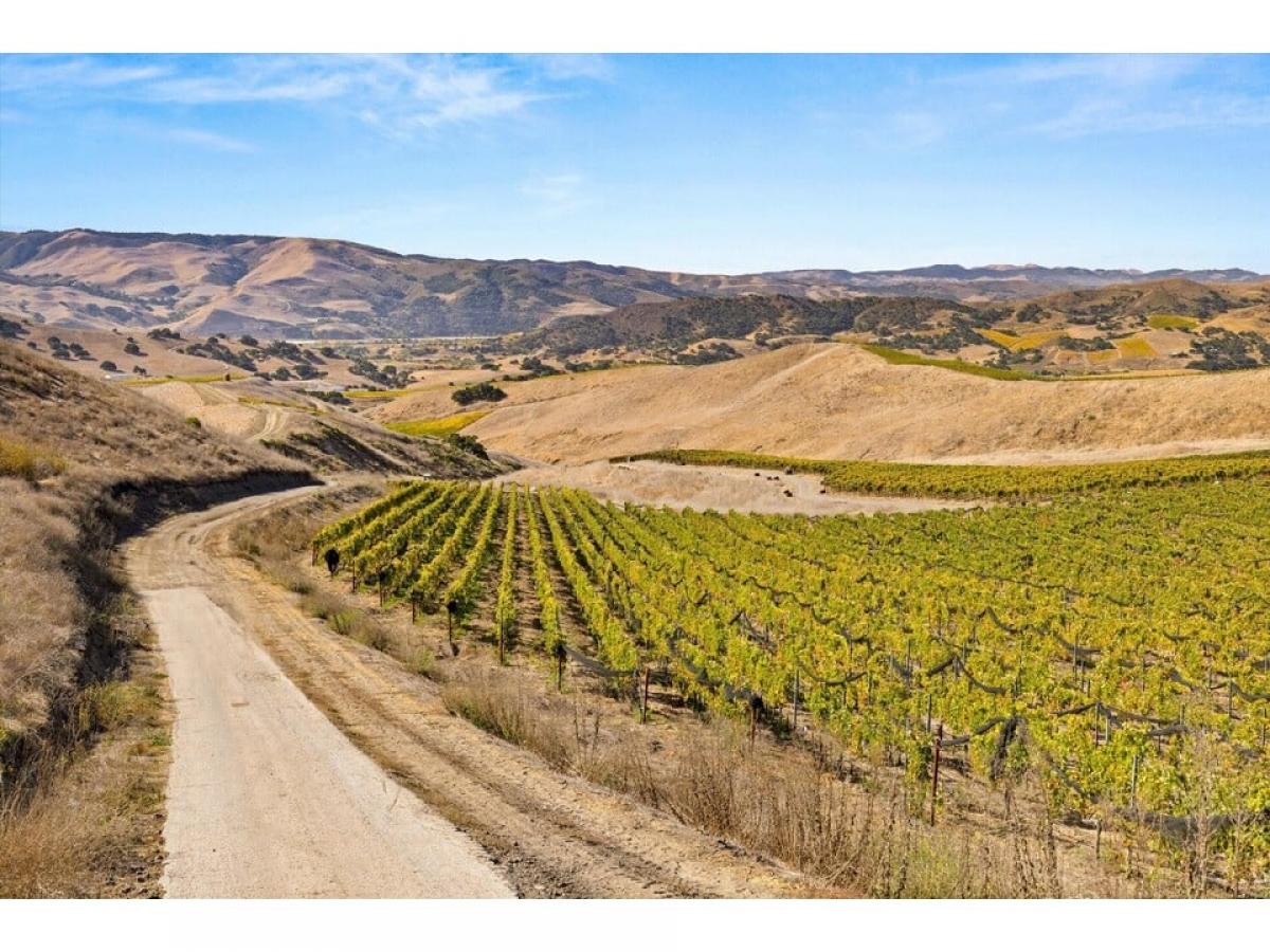 Picture of Home For Sale in Buellton, California, United States