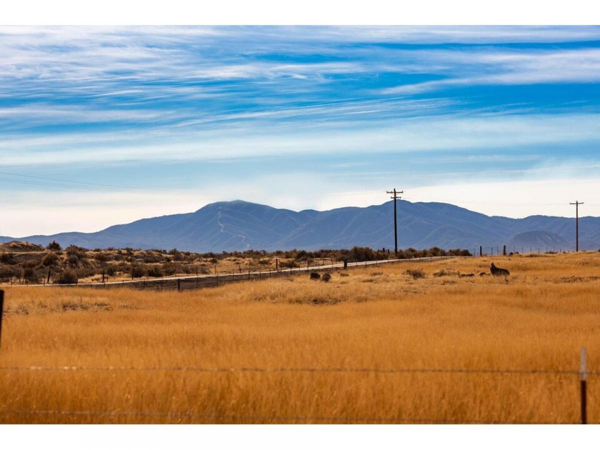 Picture of Residential Land For Sale in Cuyama, California, United States