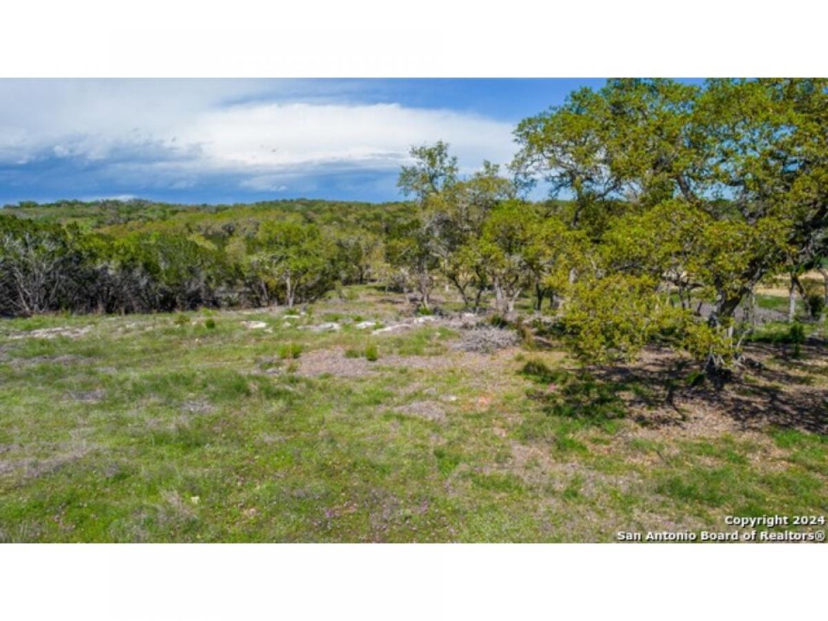 Picture of Residential Land For Sale in Spring Branch, Texas, United States