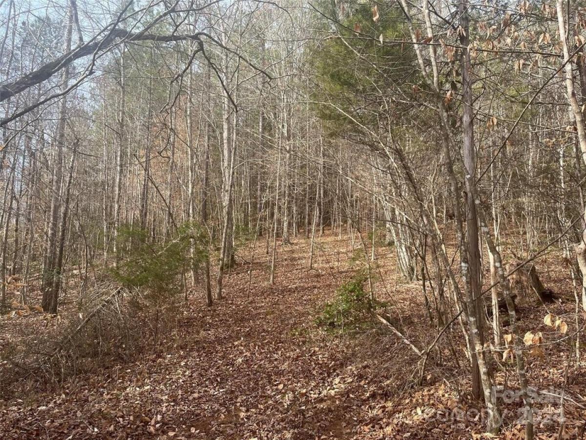 Picture of Home For Sale in Tryon, North Carolina, United States