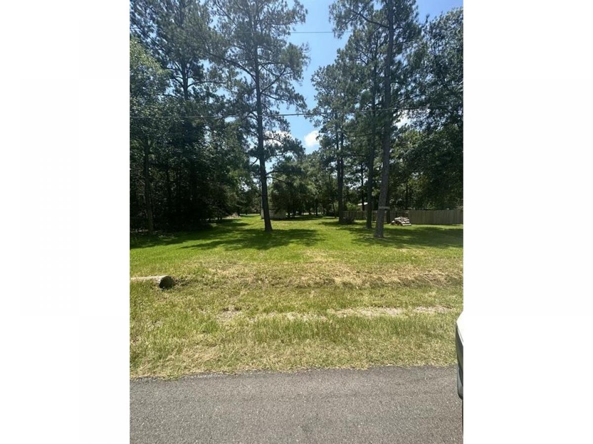 Picture of Residential Land For Sale in Stagecoach, Texas, United States