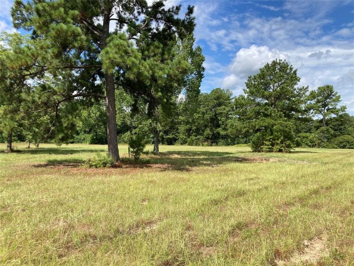 Picture of Residential Land For Sale in Willis, Texas, United States