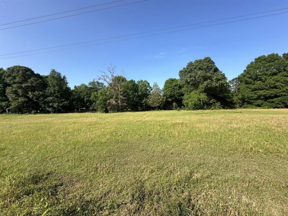 Picture of Residential Land For Sale in Livingston, Texas, United States