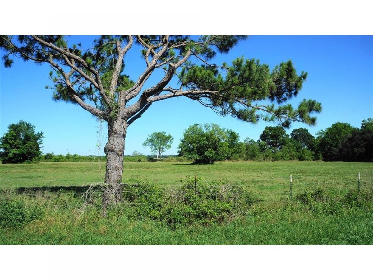 Picture of Residential Land For Sale in Anahuac, Texas, United States