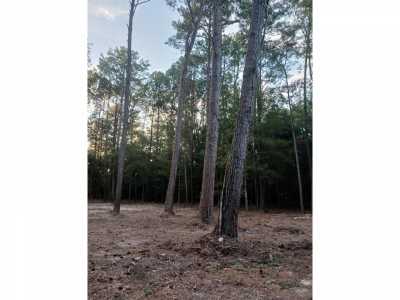 Residential Land For Sale in Silsbee, Texas