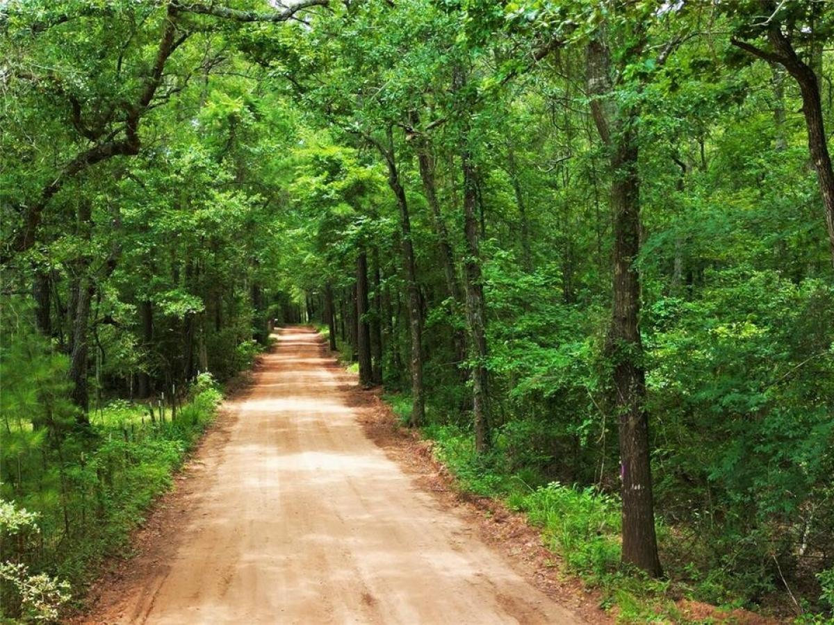 Picture of Residential Land For Sale in Cleveland, Texas, United States