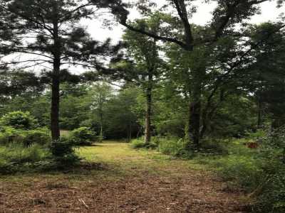 Residential Land For Sale in Magnolia, Texas