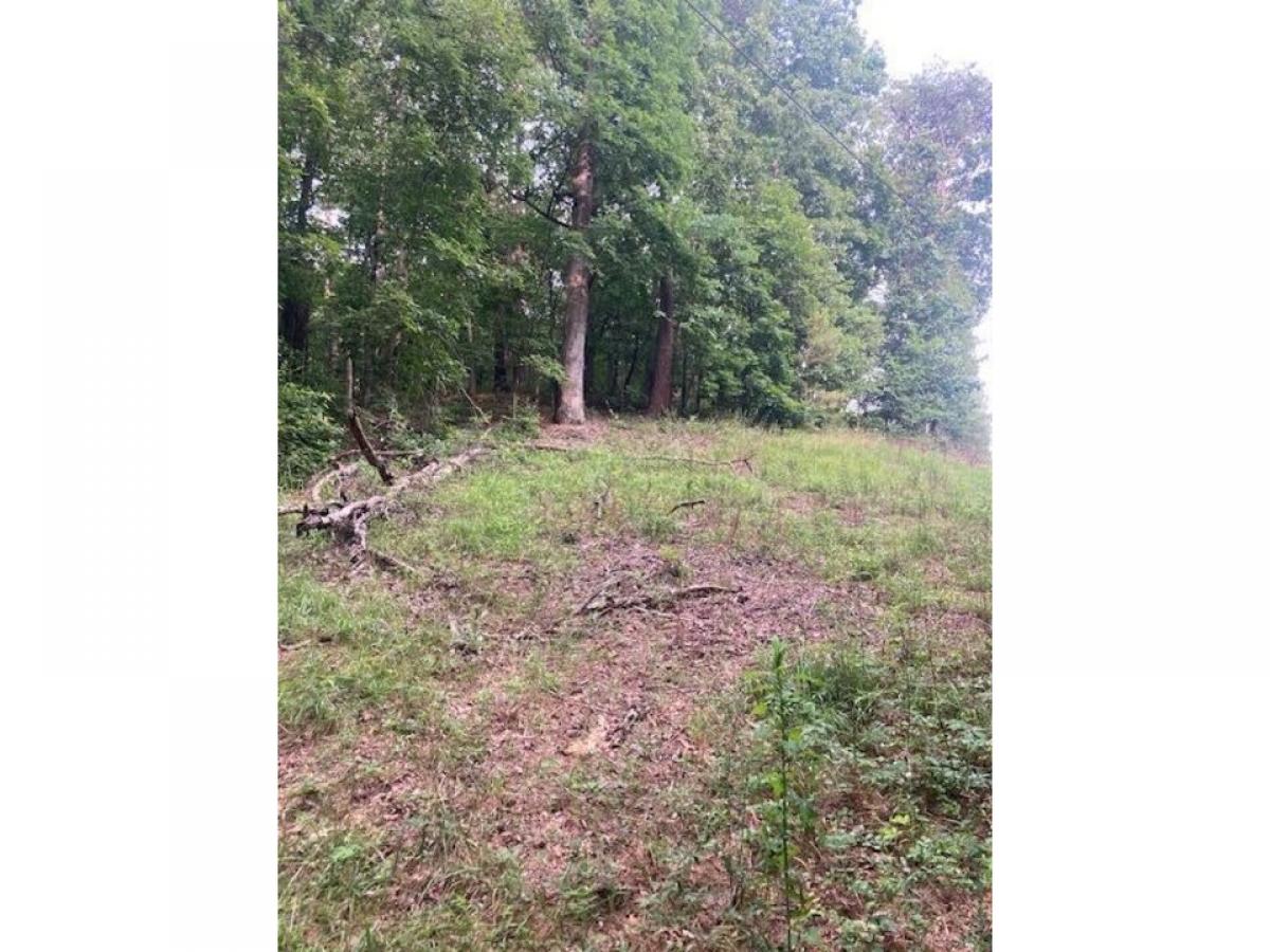 Picture of Residential Land For Sale in Chatsworth, Georgia, United States