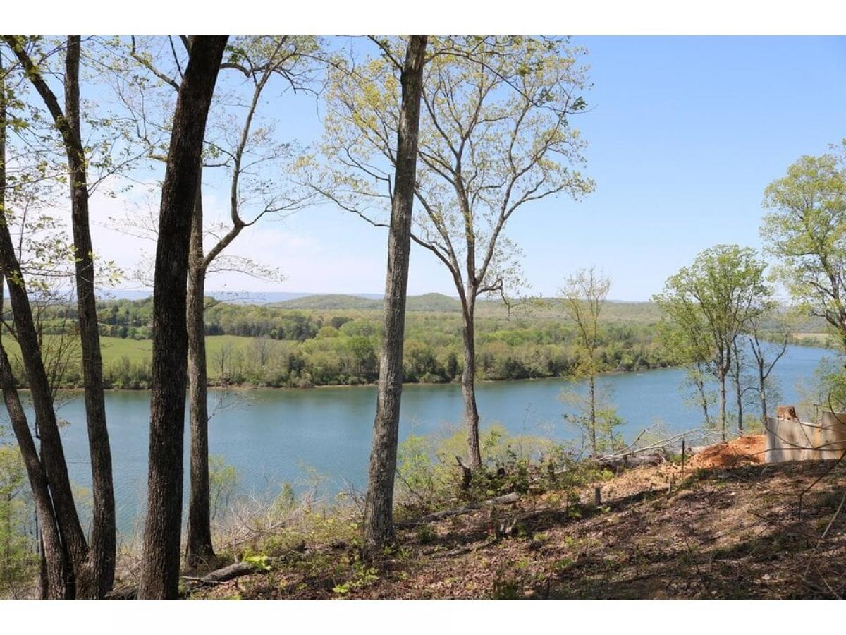 Picture of Residential Land For Sale in Decatur, Tennessee, United States