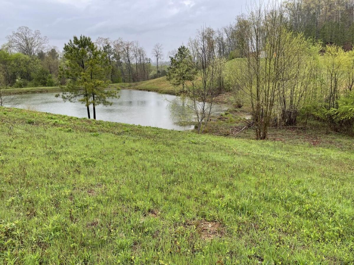 Picture of Residential Land For Sale in Loudon, Tennessee, United States