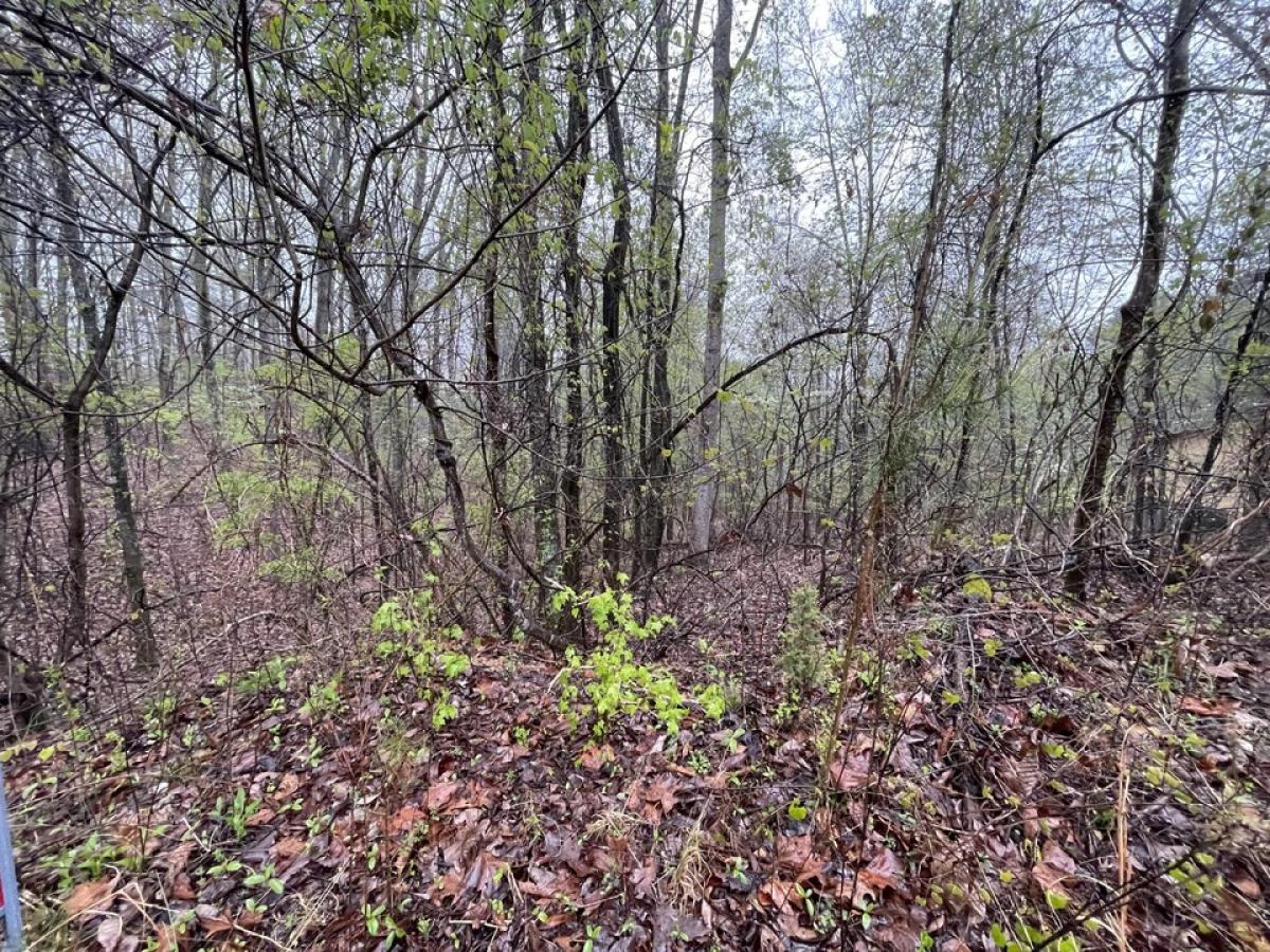 Picture of Residential Land For Rent in Spring City, Tennessee, United States