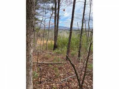 Residential Land For Sale in Turtletown, Tennessee