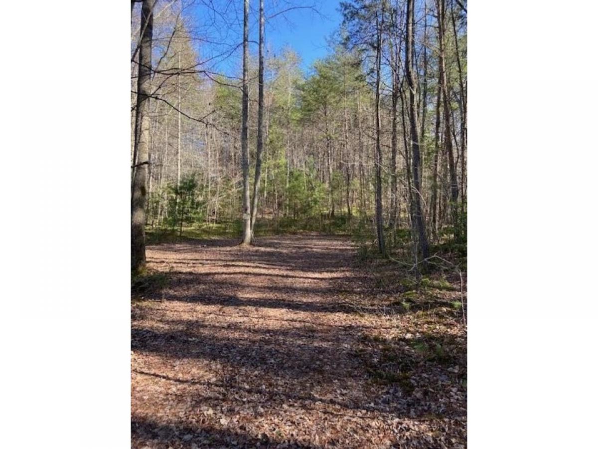 Picture of Residential Land For Sale in Turtletown, Tennessee, United States