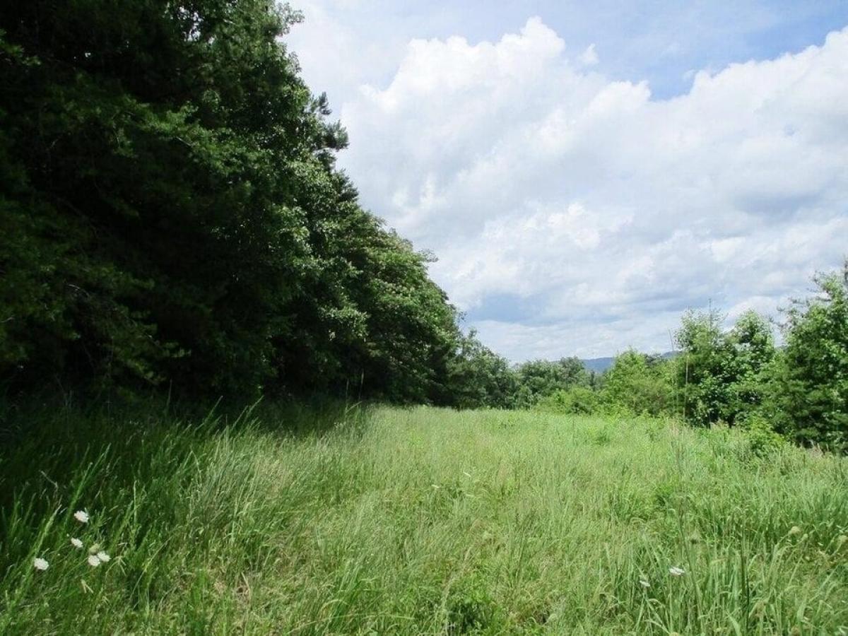 Picture of Residential Land For Sale in Ooltewah, Tennessee, United States