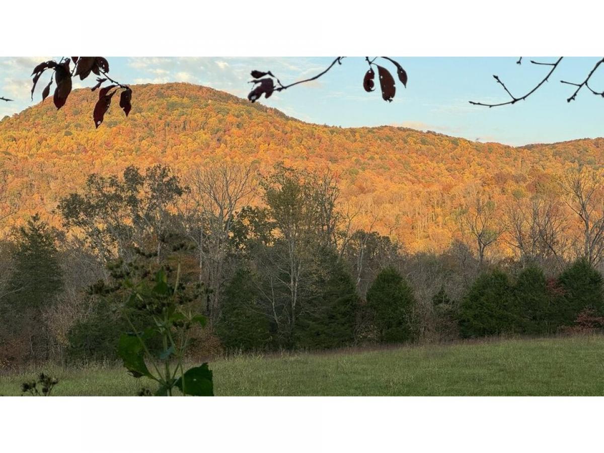 Picture of Residential Land For Sale in Cookeville, Tennessee, United States