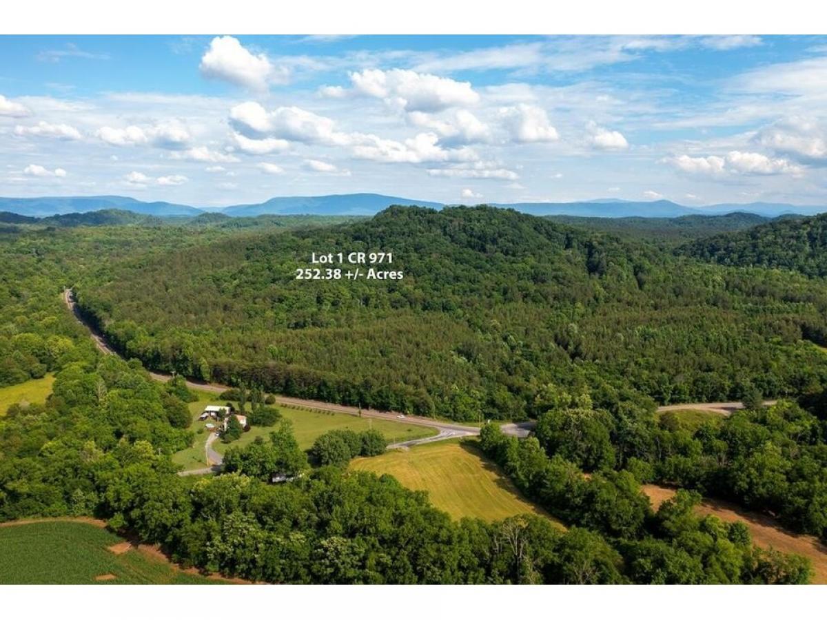 Picture of Residential Land For Sale in Calhoun, Tennessee, United States