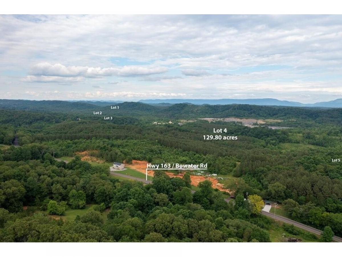 Picture of Residential Land For Sale in Calhoun, Tennessee, United States