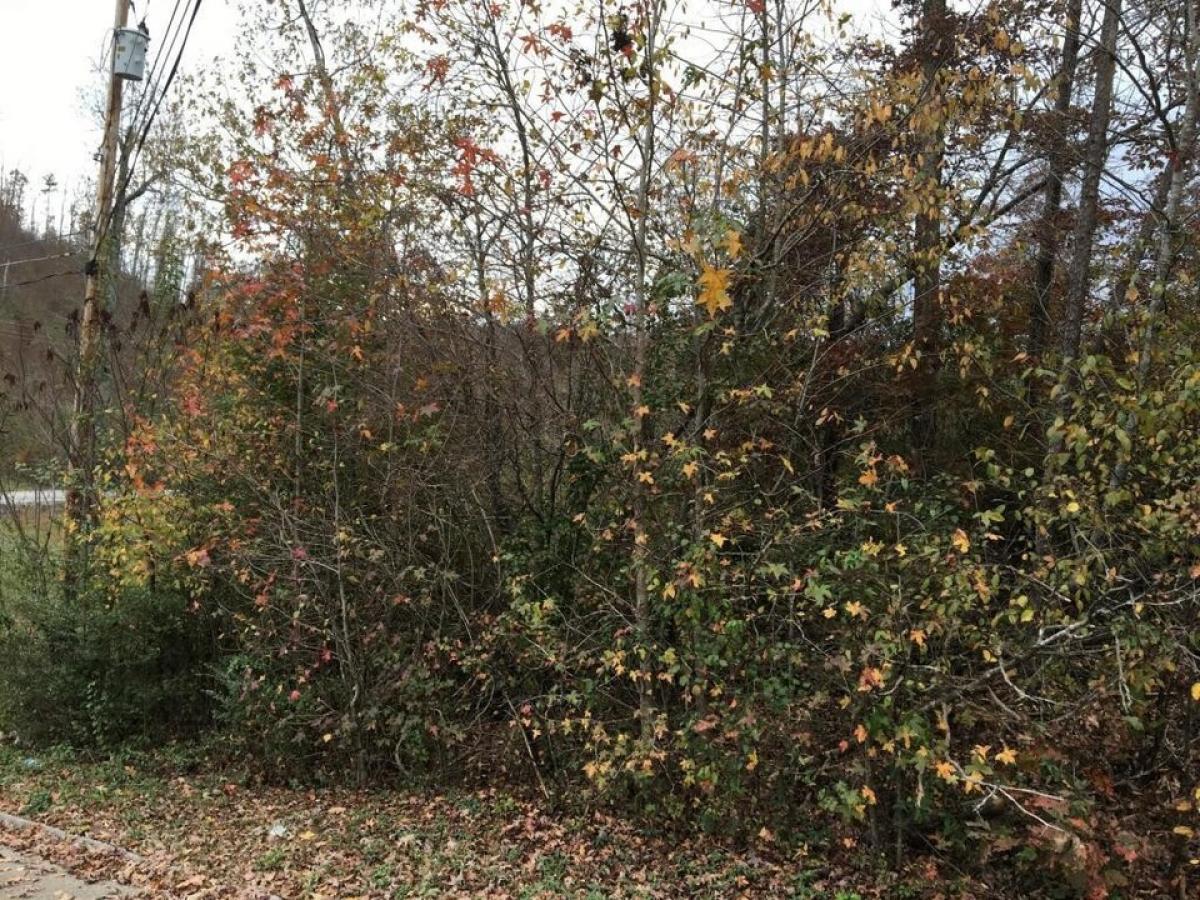 Picture of Residential Land For Sale in Harrison, Tennessee, United States