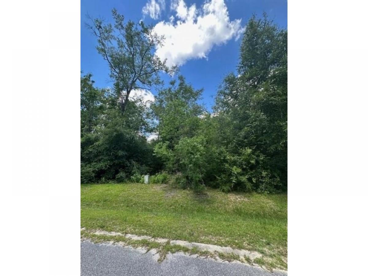 Picture of Residential Land For Sale in Wewahitchka, Florida, United States