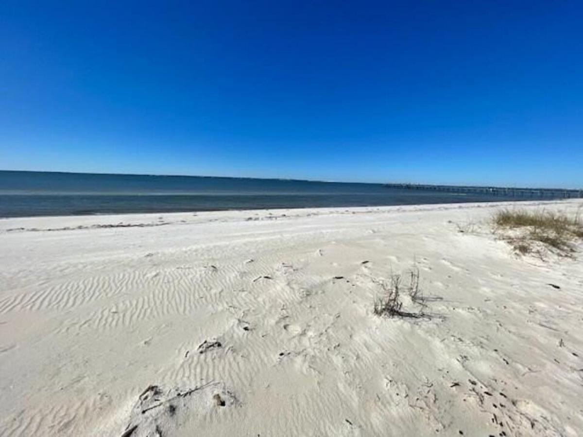 Picture of Residential Land For Sale in Port Saint Joe, Florida, United States