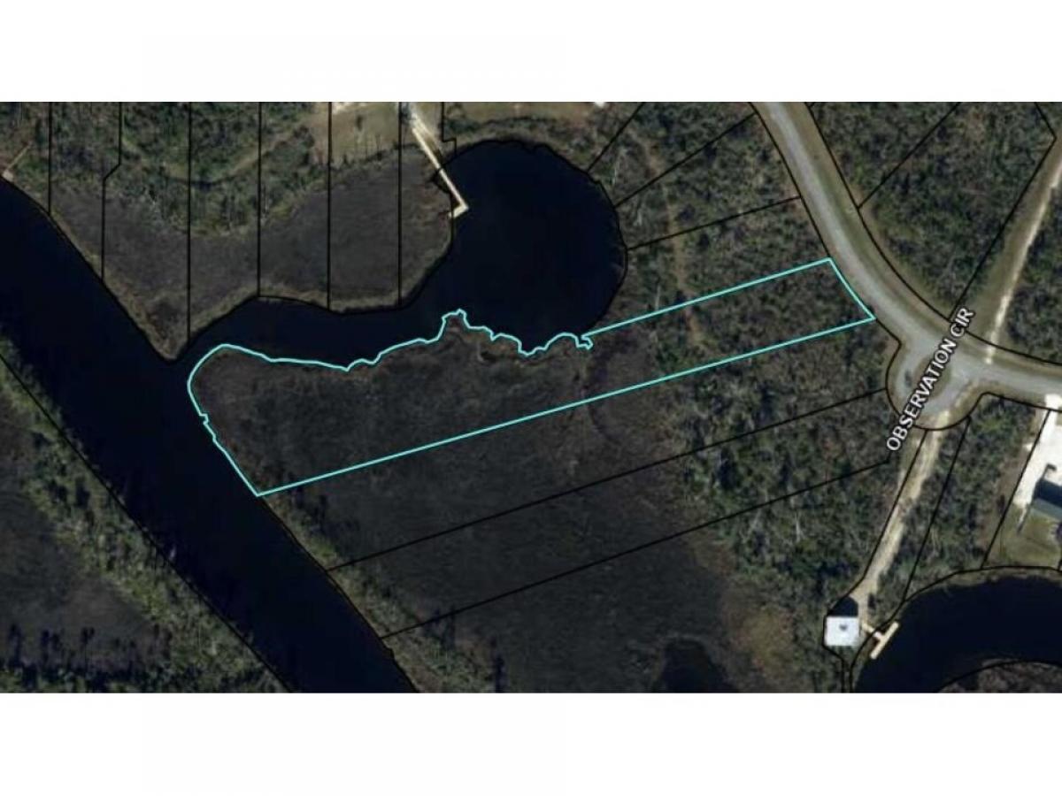 Picture of Residential Land For Sale in Wewahitchka, Florida, United States