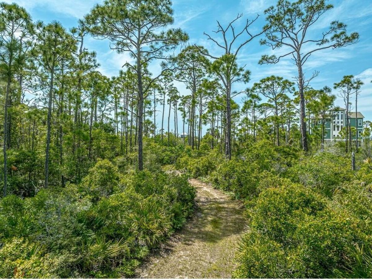 Picture of Residential Land For Sale in Saint George Island, Florida, United States