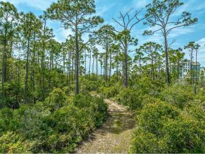 Residential Land For Sale in Saint George Island, Florida