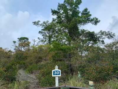 Residential Land For Sale in Port Saint Joe, Florida