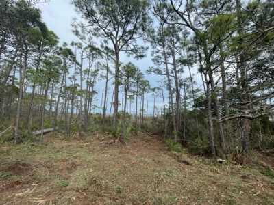 Residential Land For Sale in Port Saint Joe, Florida