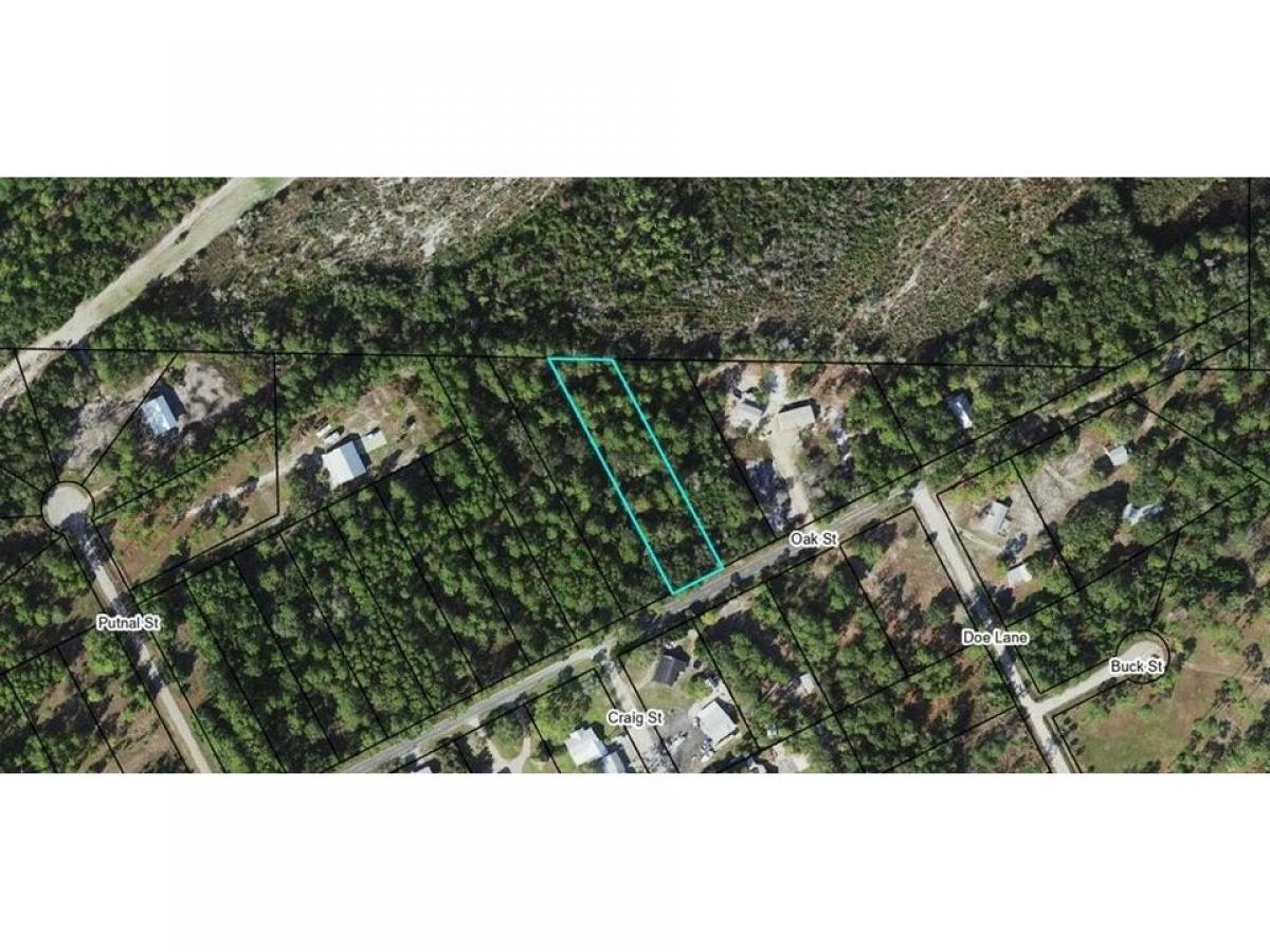 Picture of Residential Land For Sale in Carrabelle, Florida, United States