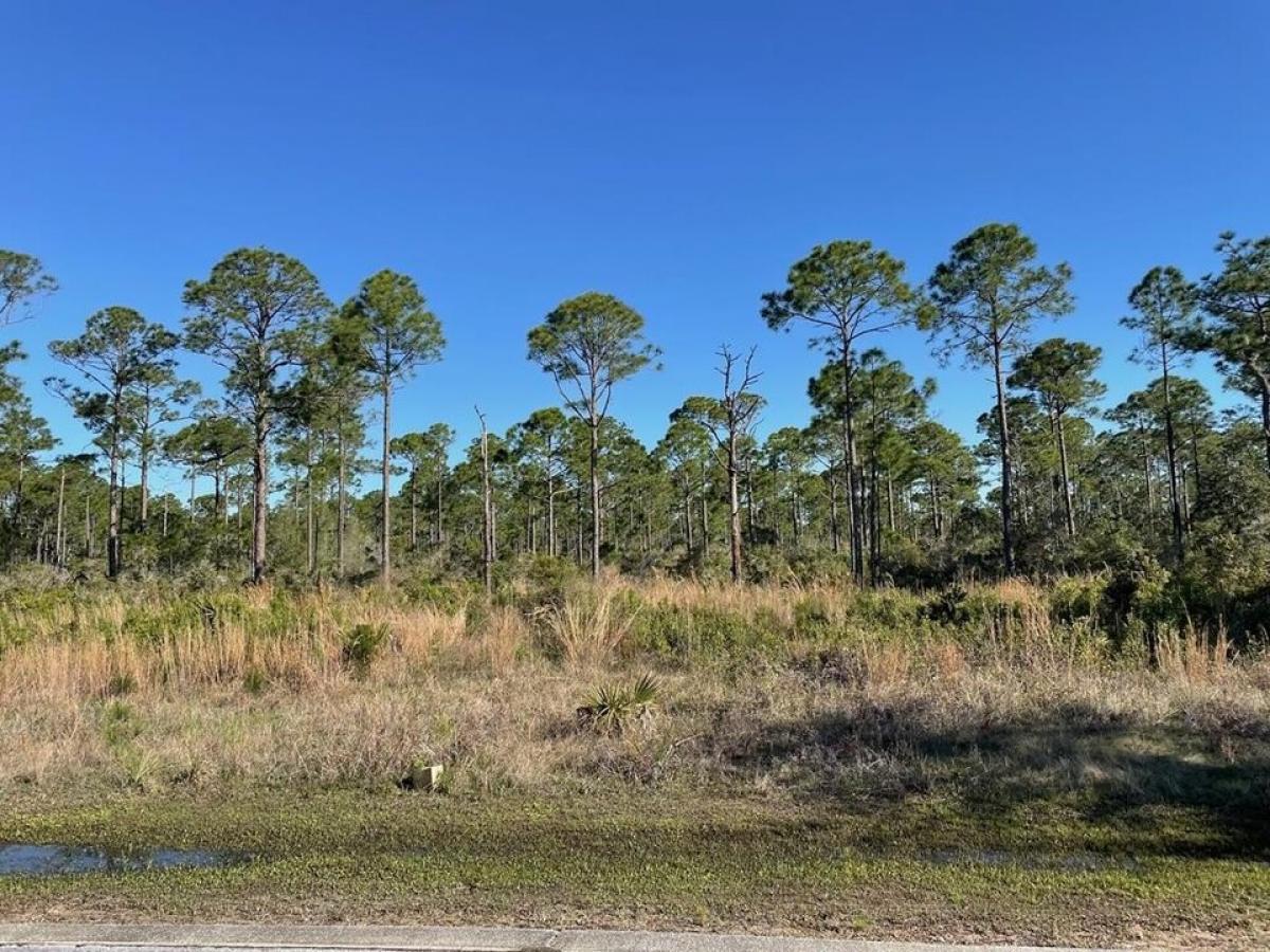 Picture of Residential Land For Sale in Port Saint Joe, Florida, United States