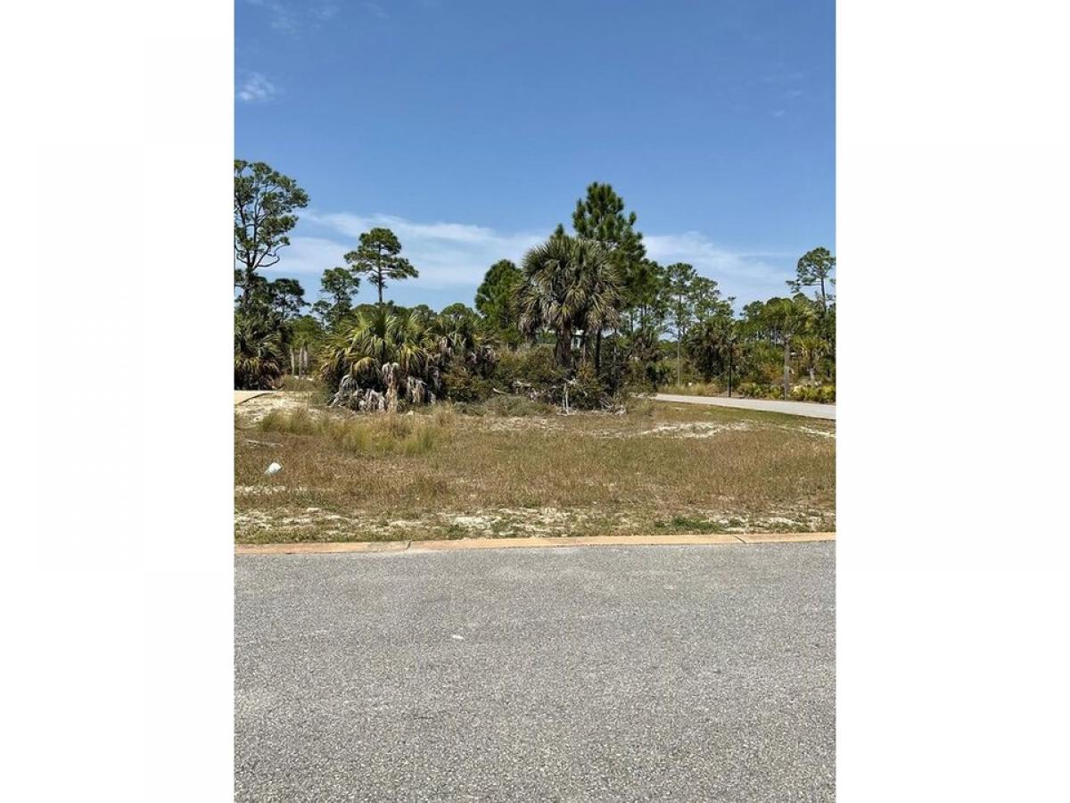 Picture of Residential Land For Sale in Cape San Blas, Florida, United States