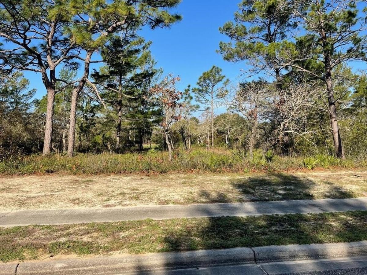 Picture of Residential Land For Sale in Carrabelle, Florida, United States