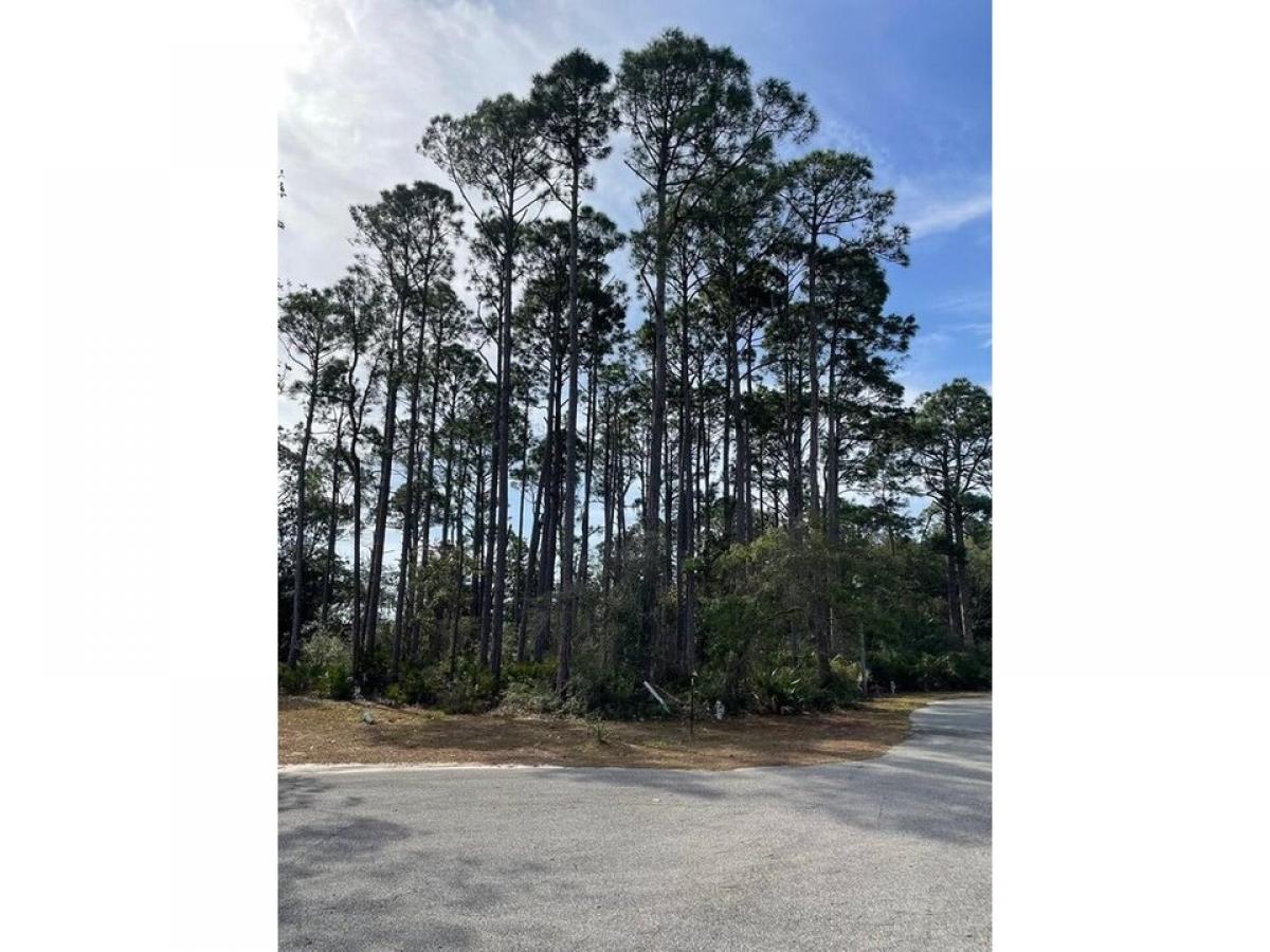 Picture of Residential Land For Sale in Cape San Blas, Florida, United States