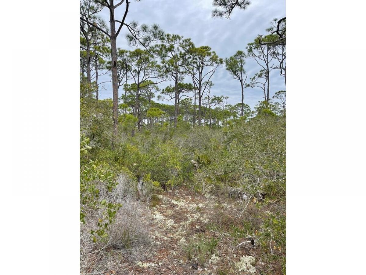 Picture of Residential Land For Sale in Saint George Island, Florida, United States