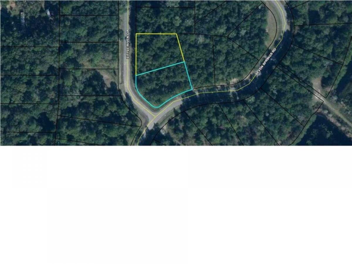 Picture of Residential Land For Sale in Wewahitchka, Florida, United States