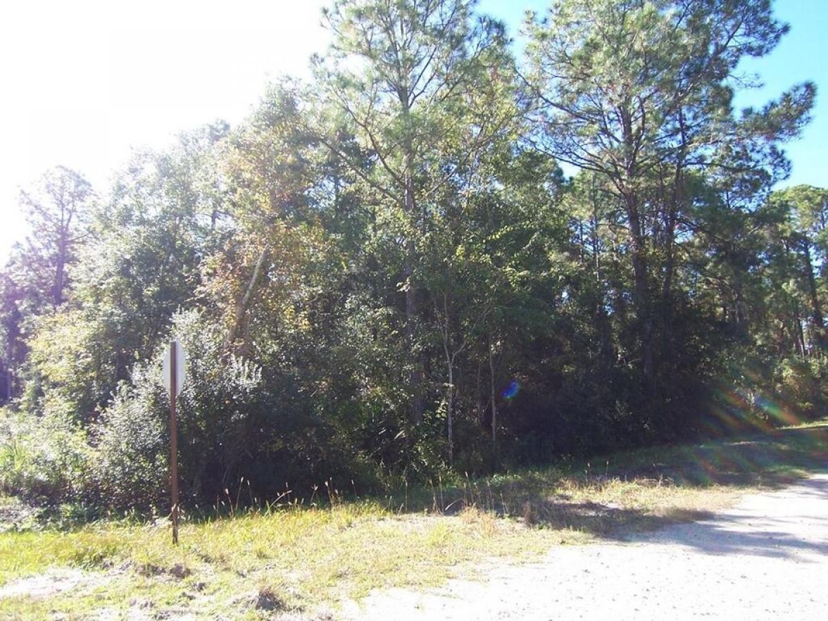 Picture of Residential Land For Sale in Carrabelle, Florida, United States