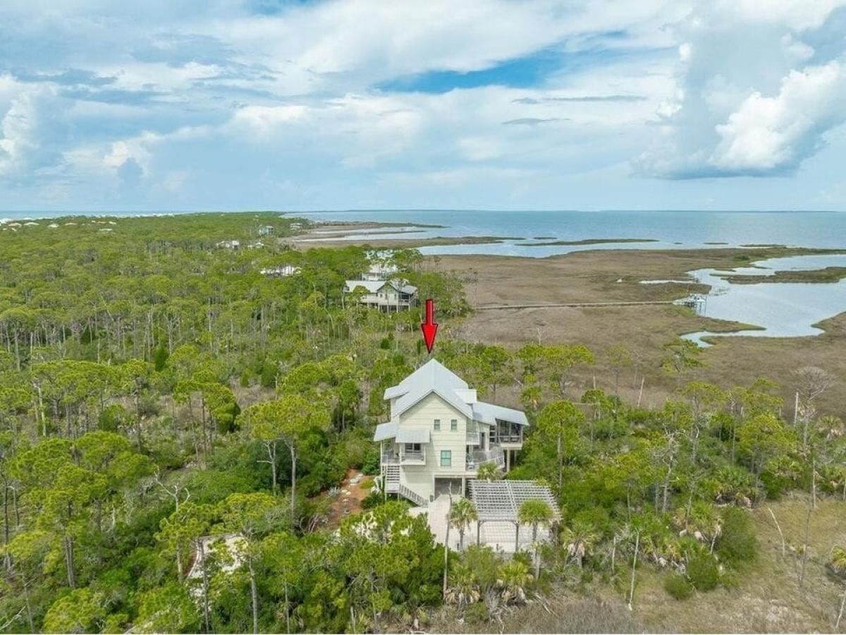 Picture of Home For Sale in Saint George Island, Florida, United States