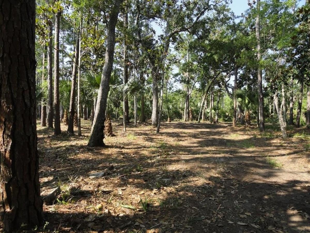 Picture of Residential Land For Sale in Apalachicola, Florida, United States